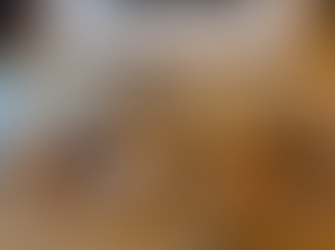 3 future chicken meals all sealed and ready for the freezer