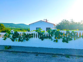 Trellising butternut squash plants: creating a wow-factor pumpkin garden wall feature
