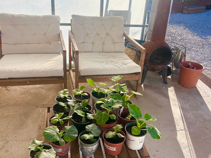 Spring is here… So why does it feel like I’m already behind?