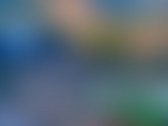 From “Forever Beds” to pallet collars