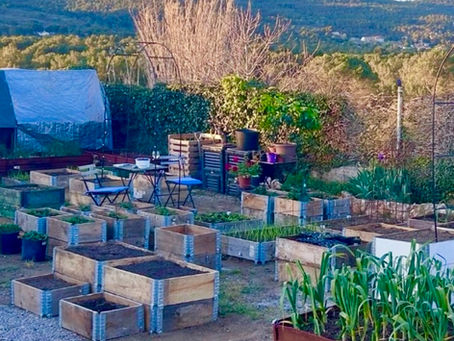 From “Forever Beds” to pallet collars