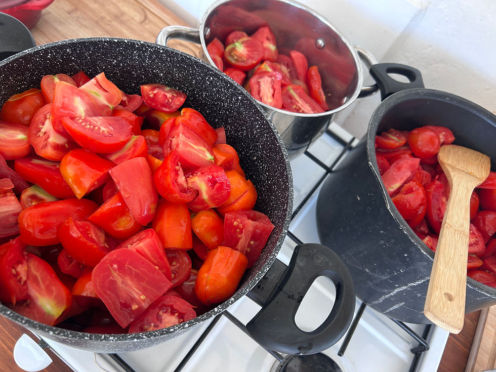 Three pots on a stovetop filled with chopped red tomatoes, one with a wooden spoon, ready for cooking.
