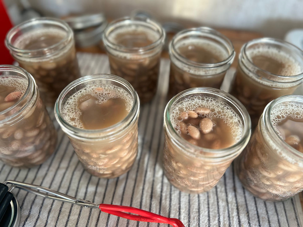 Beans and jars ready for the canner
