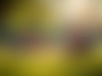 Summer Adventures in the Tri-Valley California Exploring Danville, Pleasanton, Livermore, Dublin, Alamo, and San Ramon