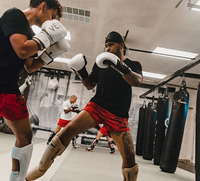3D Martial Arts
