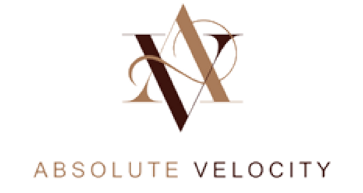 absolute velocity LOGO