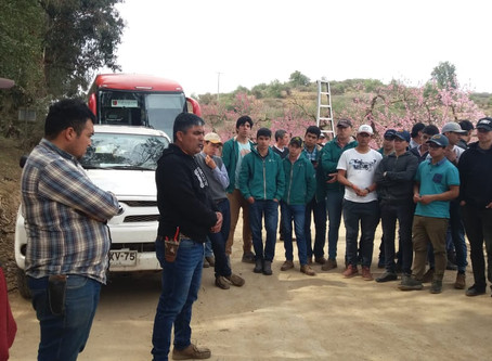 Visita Verfrut