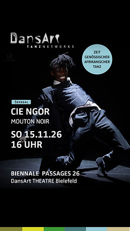 IG_Story_biennale-passages26_Cie Ngor.jpg