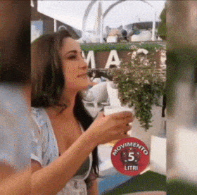 11.gif