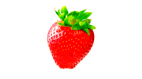 fresa (2)LOW.png