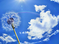 beautiful-clouds.jpg