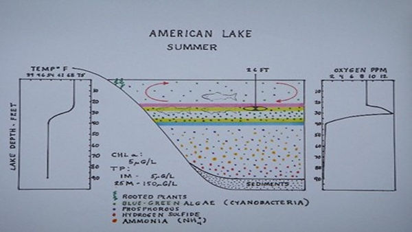 American Lake Summer.jpg