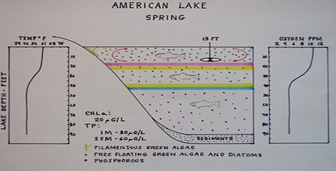 American Lake Springtime.jpg