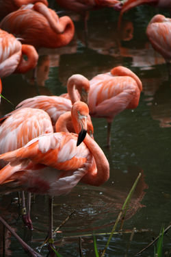 Photographie