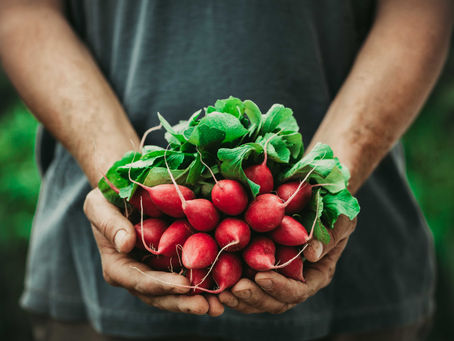 COMIDA ORGÁNICA: QUÉ ES Y CUÁLES SON SUS BENEFICIOS PARA LA SALUD