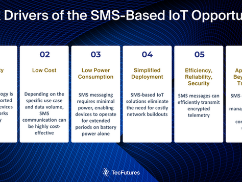 Leveraging the Global Potential of SMS-Based IoT Solutions: Pros, Cons and opportunities