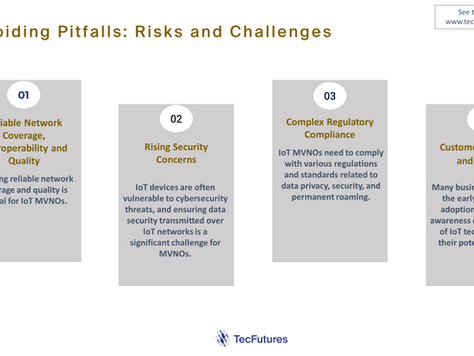 MVNO Growth: Avoiding the Pitfalls