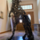 Thumbnail: Horse Sculpture 