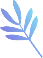 Colorful Leaf    