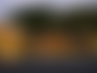 [베트남 다낭맛집] 다낭 미식 여행의 필수 코스 마담란