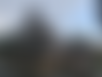 [달랏] 린 푸옥 파고다