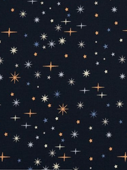 NUIT ETOILÉE