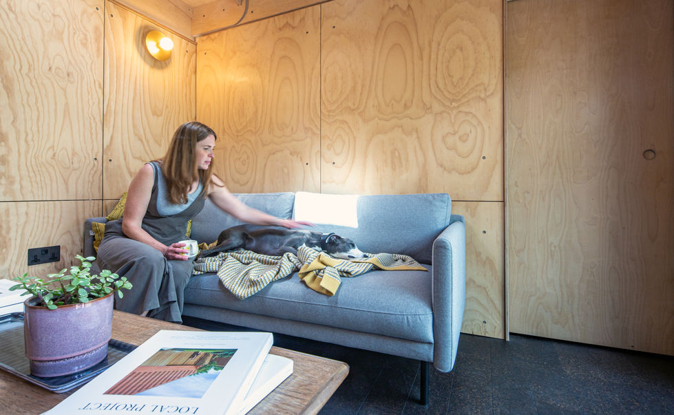 Interior of a London garden room with sofa and natural plywood walls used for relaxation.