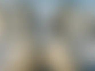 🐧 Reproducción bajo cero: cómo evita el pingüino emperador que sus huevos se congelen