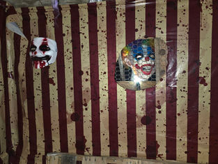 Haunted house fundraiser to help Revitalize Dublin