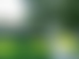 Stephenville Laurel Glen Assisted Living and Memory Care Center.