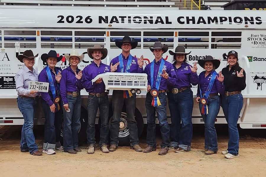 Tarleton Stock Horse Team