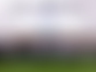 Texans Shrug Off Rain To Serve Community During Tarleton Round Up