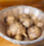 Jerusalem Artichoke (Sunchokes)