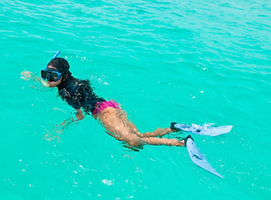 ACJ - snorkel.png