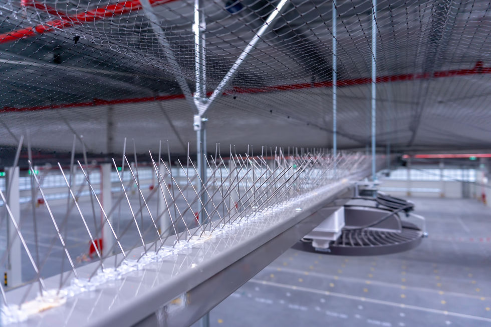 High angle view of bird spikes installed on a building ledge
