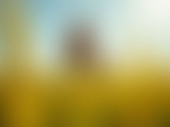 Support Women's Empowerment and Agricultural Development Efforts