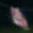 HARU_Murni_Final.png