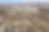 Screenshot 2025-09-03 at 7.45.14 AM.png