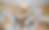 Screenshot 2025-09-03 at 7.44.48 AM.png