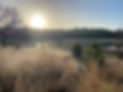 2022-01-06 10.20.11.jpg