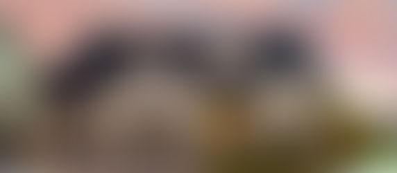 FERNANDO DINI CONSEGUE MAIOR PRAZO PARA REGULARIZAÇÃO DE IMÓVEIS