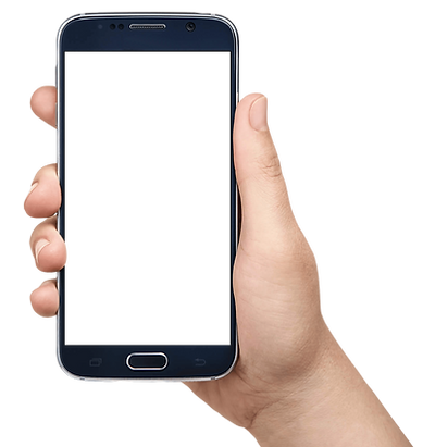 cell (2).png