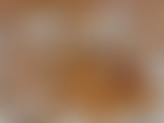 AI Won't Fix Your Books. Here's What It Actually Does.