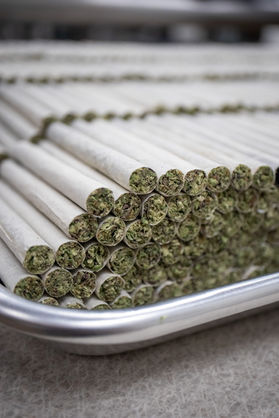 Product | Cannabis Facility Photography | On Location | Kapricorn Cannabis Eugene,OR