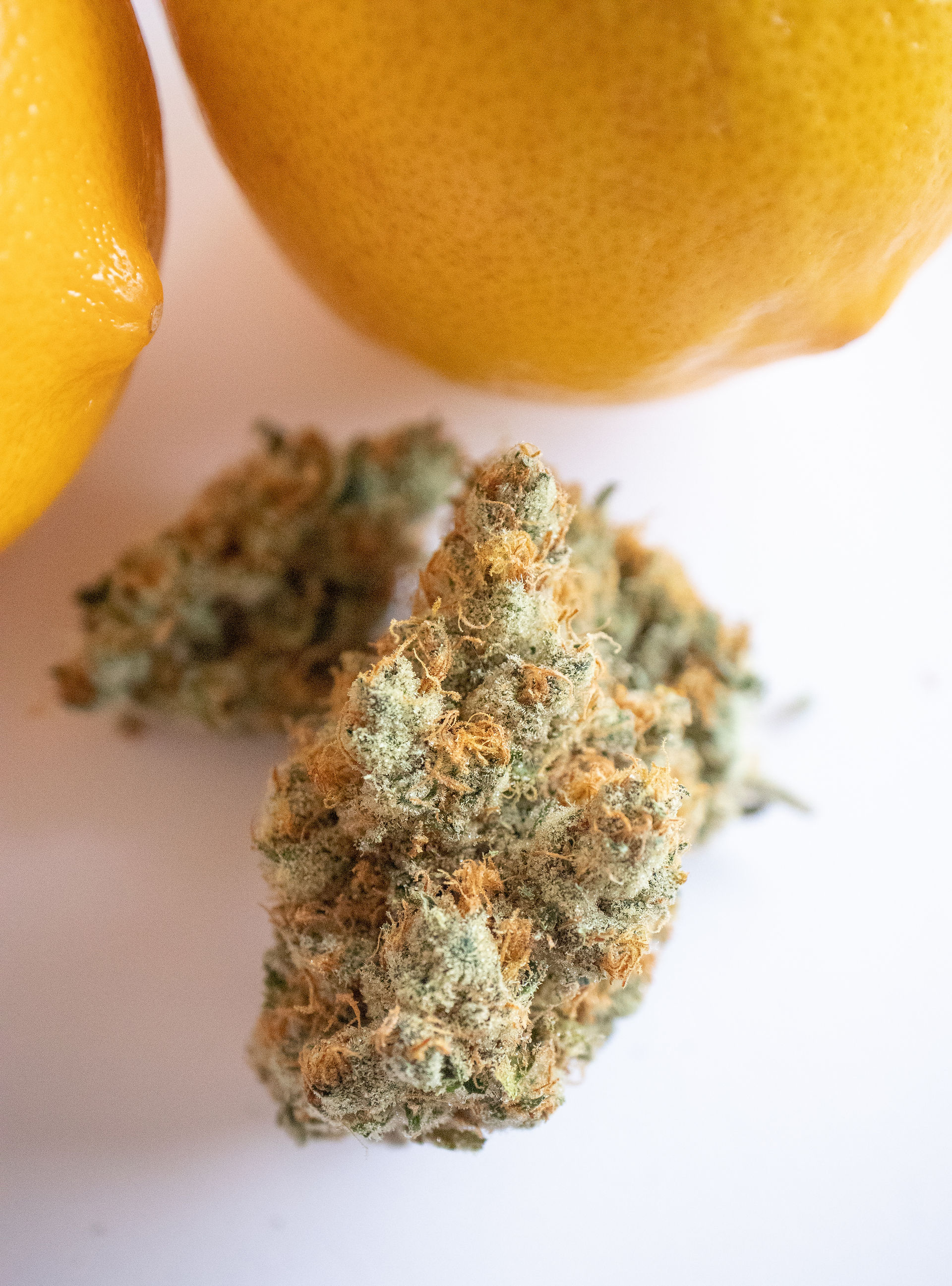 Injoy Gardens Cannabis Strain Review