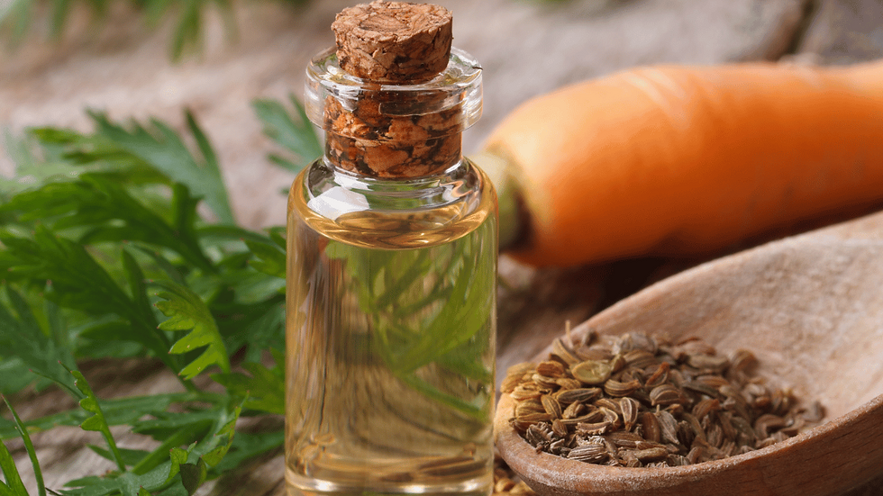 Carrot Seed Oil Benefits for Skin: What It Is and How It Works