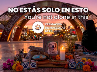 No estás solo en esto / You're not alone in this