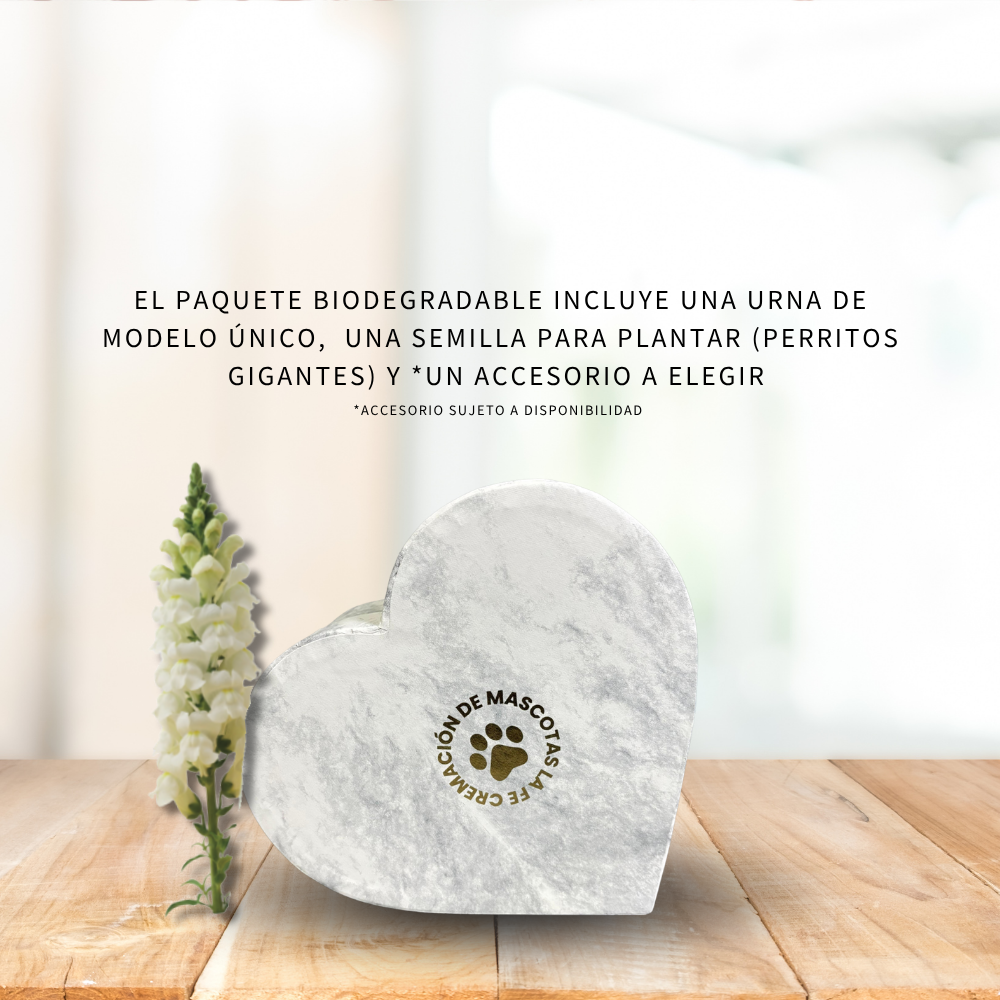 PAQUETE BIODEGRADABLE