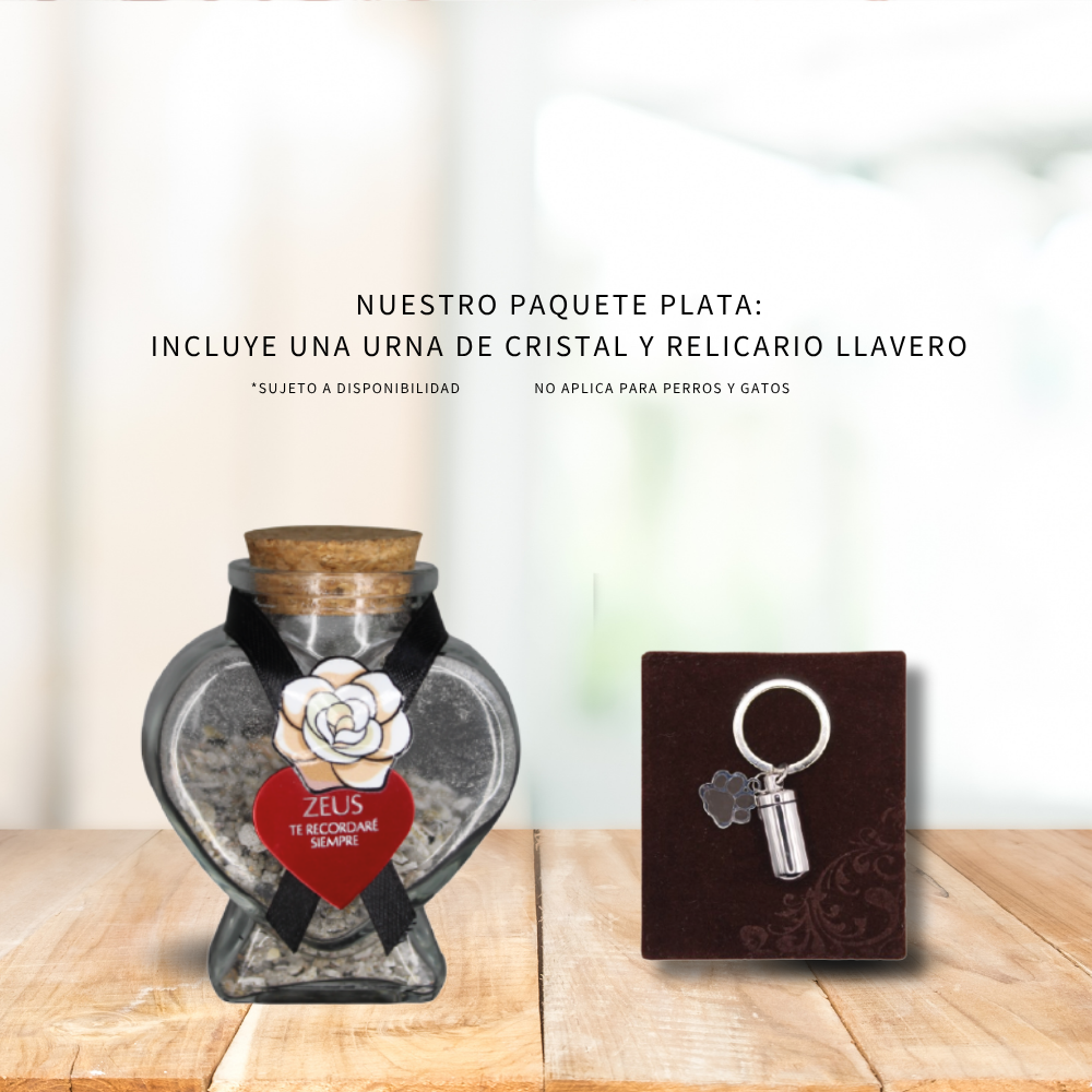 PAQUETE PLATA (PEQUEÑAS ESPECIES)