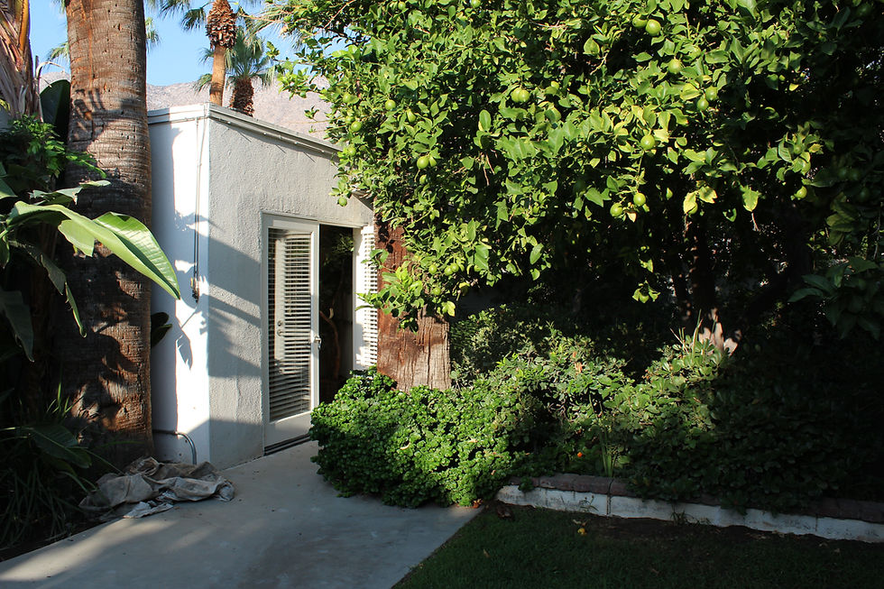 Back Yard